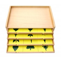 BOTĀNISKĀ KUMODE - LAPU FORMAS