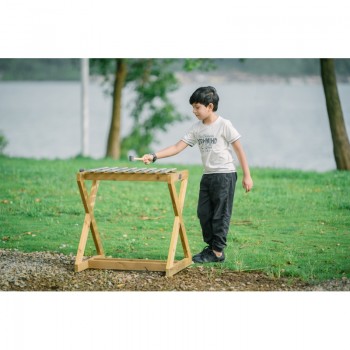 MŪZIKAS INSTRUMENTS KSILOFONS - CLASSIC WORLD