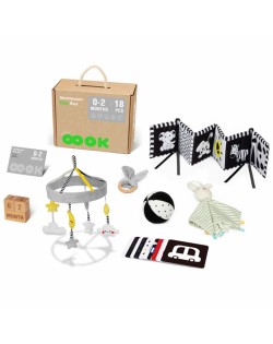 SENSORĀ IZGLĪTOJOŠĀ KASTE 6IN1 NO 0-2 MĒNEŠU VECUMAM - TOOKY TOY