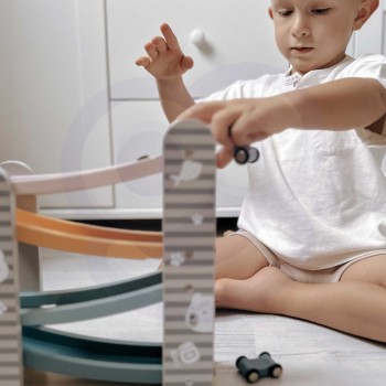 SACĪKŠU TRASE AR 4 KOKA AUTOMAŠĪNĀM - VIGA