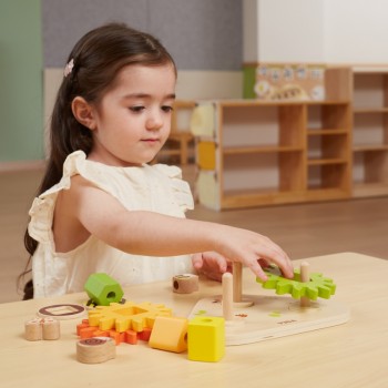 KOKA PUZLE ŠĶIROTĀJS FORMAS UN MEHĀNISMI - VIGA