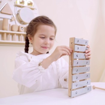 KOKA MŪZIKAS INSTRUMENTU KOMPLEKTS - VIGA