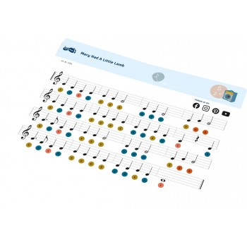 KSILOFONS - SMALL FOOT