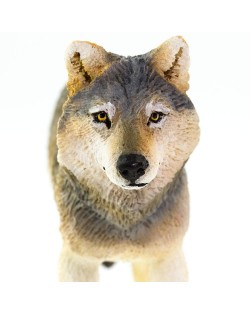 PELĒKAIS VILKS - SAFARI LTD.