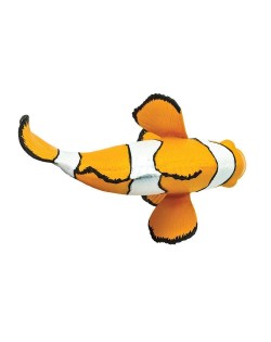 KLAUNZIVS CLOWN ANEMOFISH - SAFARI Ltd.