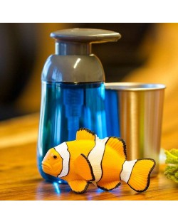 KLAUNZIVS CLOWN ANEMOFISH - SAFARI Ltd.