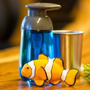 KLAUNZIVS CLOWN ANEMOFISH - SAFARI Ltd. KLAUNZIVS CLOWN ANEMOFISH - SAFARI Ltd.