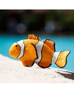 KLAUNZIVS CLOWN ANEMOFISH - SAFARI Ltd.