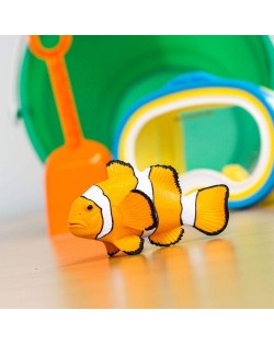 KLAUNZIVS CLOWN ANEMOFISH - SAFARI Ltd.