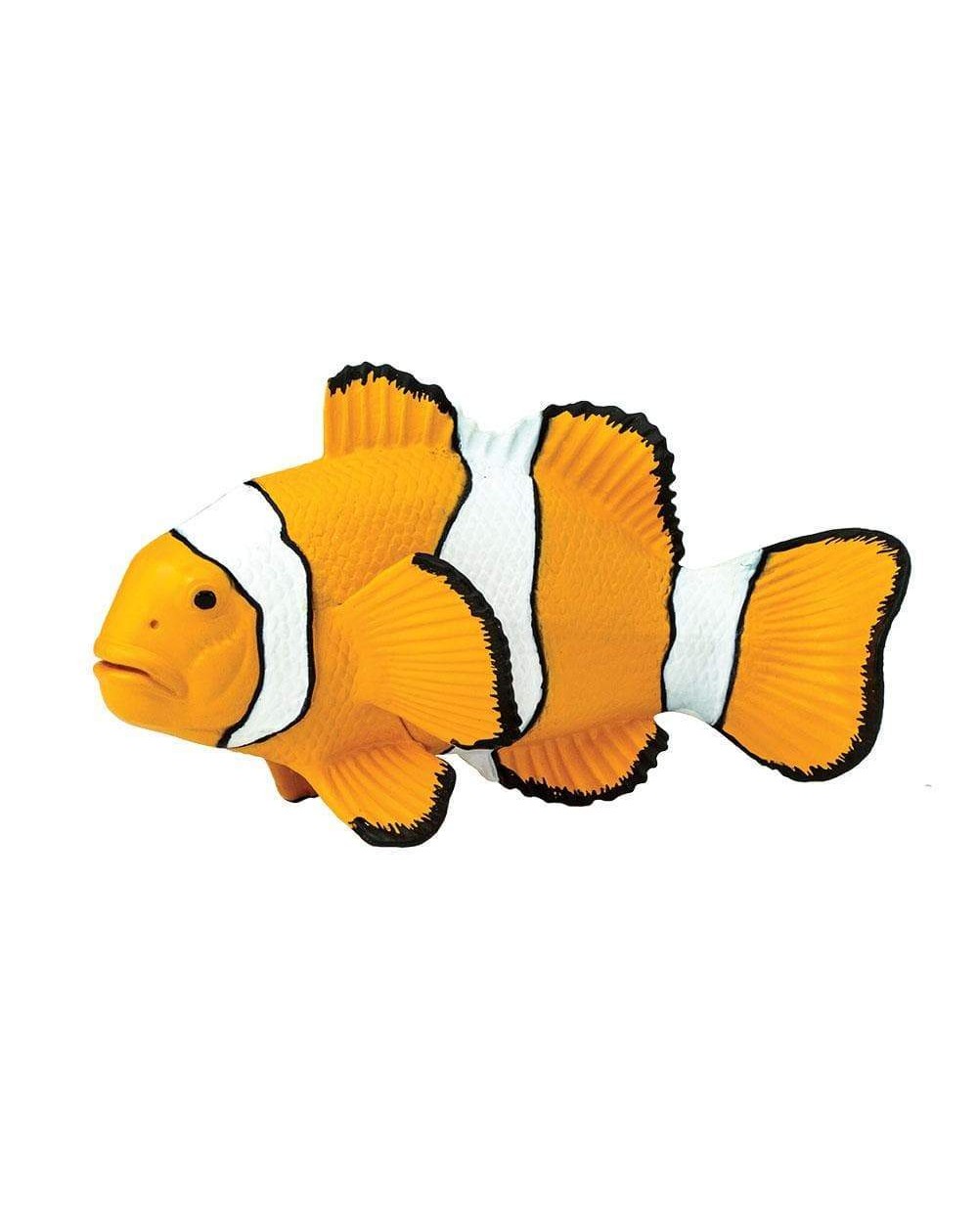 KLAUNZIVS CLOWN ANEMOFISH - SAFARI Ltd.