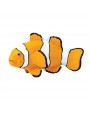 KLAUNZIVS CLOWN ANEMOFISH - SAFARI Ltd.