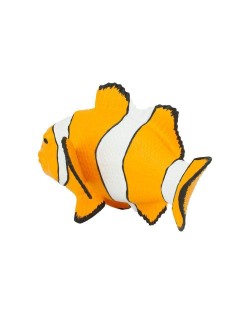 KLAUNZIVS CLOWN ANEMOFISH - SAFARI Ltd.