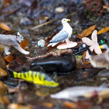 LIELIE EZERI TOOB® - SAFARI LTD.