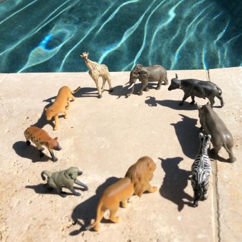 DIENVIDĀFRIKAS DZĪVNIEKI TOOB® - SAFARI LTD.