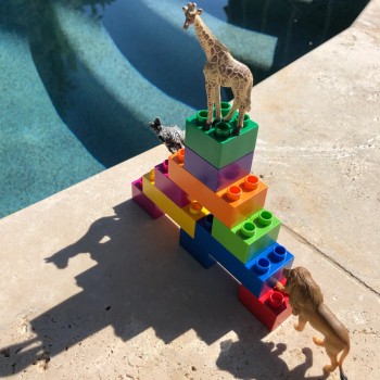 DIENVIDĀFRIKAS DZĪVNIEKI TOOB® - SAFARI LTD.