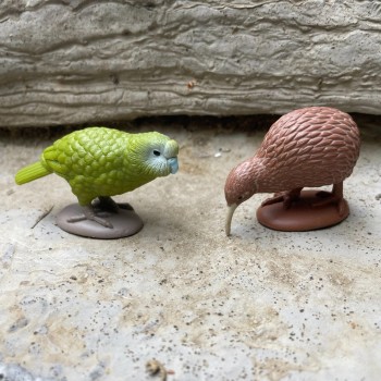 AUSTRĀLIJAS KONTINENTS TOOB® - SAFARI LTD. AUSTRĀLIJAS KONTINENTS TOOB® - SAFARI LTD.