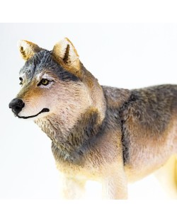 PELĒKAIS VILKS - SAFARI LTD.