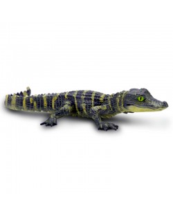 ALIGATORA MAZULIS - SAFARI LTD.