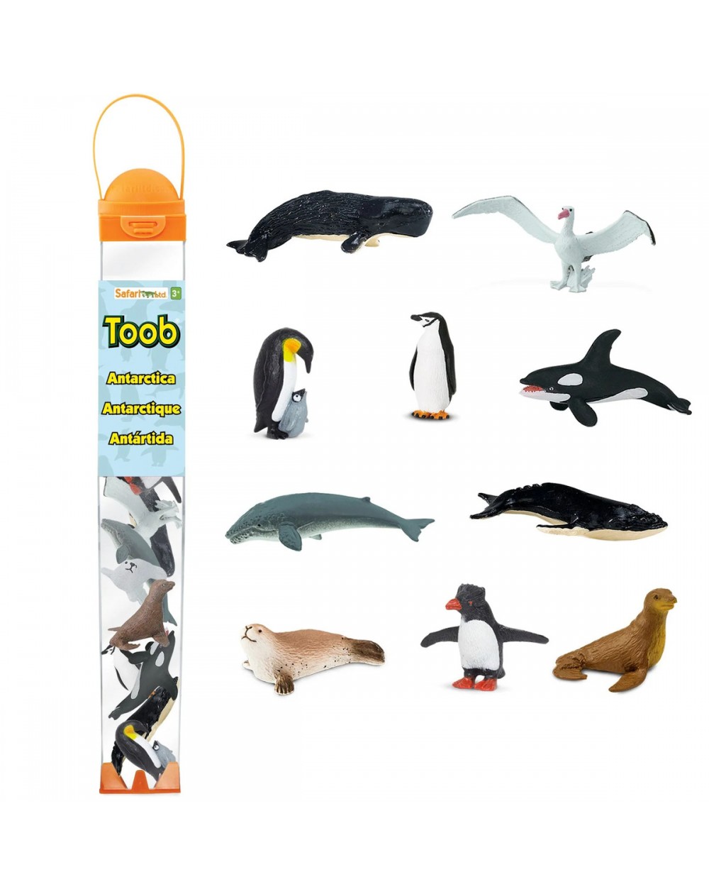 Antarktīda TOOB® - SAFARI Ltd.