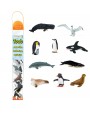 Antarktīda TOOB® - SAFARI Ltd.