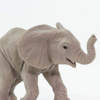 African Elephant Calf - SAFARI Ltd.