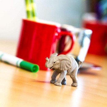 African Elephant Calf - SAFARI Ltd.