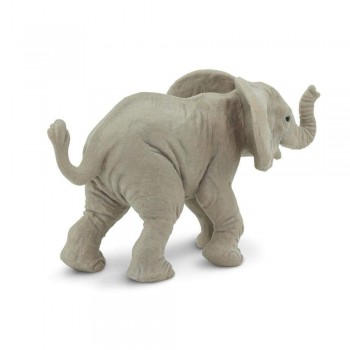 African Elephant Calf - SAFARI Ltd.