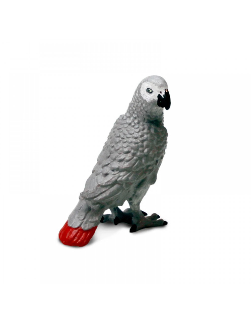 ĀFRIKAS PELĒKAIS PAPAGAILIS - SAFARI Ltd.