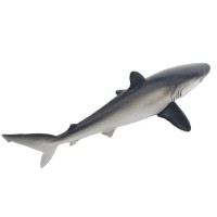 ZĪDAINĀ HAIZIVS/SILKY SHARK - SAFARI Ltd.