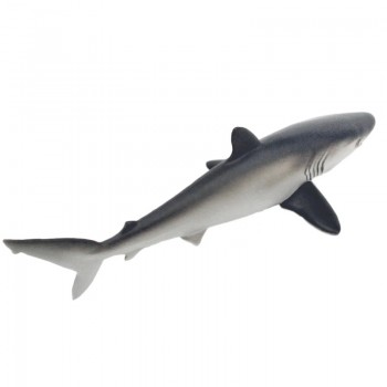 ZĪDAINĀ HAIZIVS/SILKY SHARK - SAFARI Ltd.