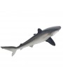 ZĪDAINĀ HAIZIVS/SILKY SHARK - SAFARI Ltd.