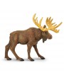ALNIS - SAFARI Ltd.