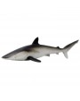 ZĪDAINĀ HAIZIVS/SILKY SHARK - SAFARI Ltd.