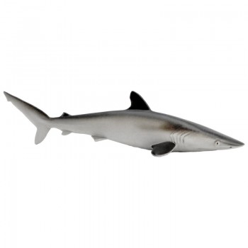ZĪDAINĀ HAIZIVS/SILKY SHARK - SAFARI Ltd. ZĪDAINĀ HAIZIVS/SILKY SHARK - SAFARI Ltd.