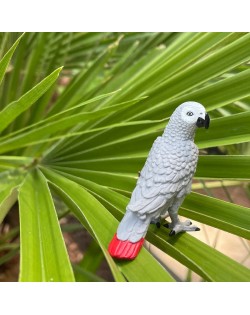 ĀFRIKAS PELĒKAIS PAPAGAILIS - SAFARI Ltd.