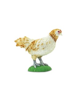 Ameraucana Vista - SAFARI Ltd.