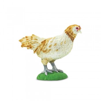 Ameraucana Chicken - SAFARI Ltd.