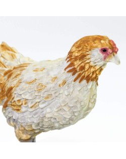 Ameraucana Vista - SAFARI Ltd.