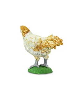 Ameraucana Vista - SAFARI Ltd.