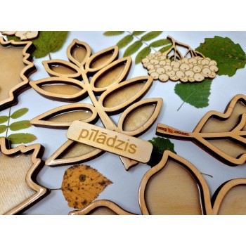 Sensoro Dēlīšu Komplekts Rudens Lapas