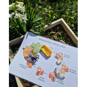 Sensory Play Set Bee Big - OUWAKIDS