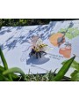 Sensoro Rotaļu Komplekts Bee Big - OUWAKIDS