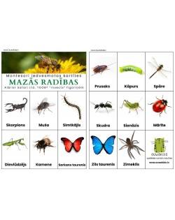 Kartiņu Un Figūriņu Komplekts "Mazās Radības" - OUWAKIDS Kartiņu Un Figūriņu Komplekts "Mazās Radības" - OUWAKIDS