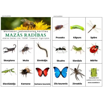 Card and Figure Set Little Creatures - OUWAKIDS