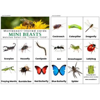 Card and Figure Set Little Creatures - OUWAKIDS