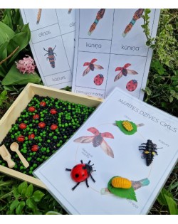 Sensoro Rotaļu Komplekts LadyBug Life Cycle - OUWAKIDS