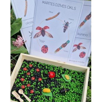 Sensoro Rotaļu Komplekts LadyBug Life Cycle - OUWAKIDS Sensoro Rotaļu Komplekts LadyBug Life Cycle - OUWAKIDS