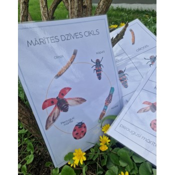 Sensoro Rotaļu Komplekts LadyBug Life Cycle - OUWAKIDS Sensoro Rotaļu Komplekts LadyBug Life Cycle - OUWAKIDS