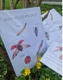 Sensoro Rotaļu Komplekts LadyBug Life Cycle - OUWAKIDS
