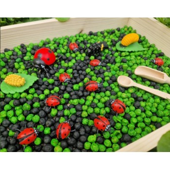 Sensoro Rotaļu Komplekts LadyBug Life Cycle - OUWAKIDS Sensoro Rotaļu Komplekts LadyBug Life Cycle - OUWAKIDS